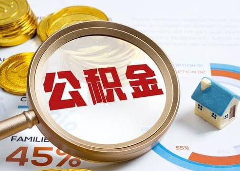 桦甸2025年政策调整对个人影响综合解析